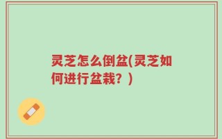 灵芝怎么倒盆(灵芝如何进行盆栽？)