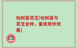 松树苗灵芝(松树苗与灵芝合种，重现奇妙效果)