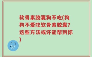 软骨素胶囊狗不吃(狗狗不爱吃软骨素胶囊？这些方法或许能帮到你)