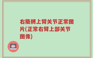 右胳膊上臂关节正常图片(正常右臂上部关节图像)