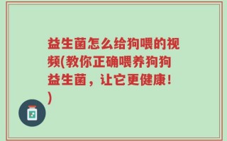 益生菌怎么给狗喂的视频(教你正确喂养狗狗益生菌，让它更健康！)