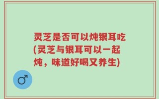 灵芝是否可以炖银耳吃(灵芝与银耳可以一起炖，味道好喝又养生)