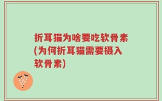 折耳猫为啥要吃软骨素(为何折耳猫需要摄入软骨素)