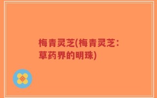 梅青灵芝(梅青灵芝：草药界的明珠)