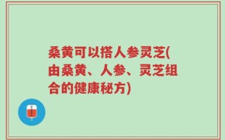 桑黄可以搭人参灵芝(由桑黄、人参、灵芝组合的健康秘方)