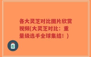 各大灵芝对比图片欣赏视频(大灵芝对比：重量级选手全球集结！)