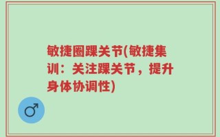 敏捷圈踝关节(敏捷集训：关注踝关节，提升身体协调性)