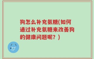 狗怎么补充氨糖(如何通过补充氨糖来改善狗的健康问题呢？)