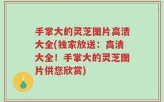 手掌大的灵芝图片高清大全(独家放送：高清大全！手掌大的灵芝图片供您欣赏)