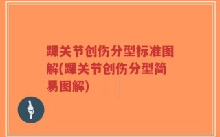 踝关节创伤分型标准图解(踝关节创伤分型简易图解)