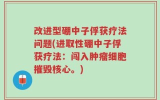 改进型硼中子俘获疗法问题(进取性硼中子俘获疗法：闯入肿瘤细胞摧毁核心。)