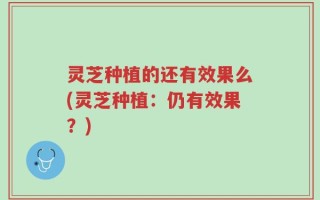 灵芝种植的还有效果么(灵芝种植：仍有效果？)