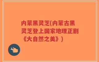 内蒙黑灵芝(内蒙古黑灵芝登上国家地理正剧《大自然之美》)