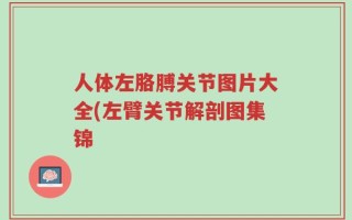 人体左胳膊关节图片大全(左臂关节解剖图集锦
