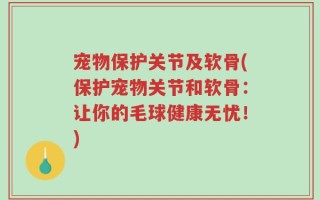 宠物保护关节及软骨(保护宠物关节和软骨：让你的毛球健康无忧！)