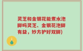 灵芝和金银花能煮水泡脚吗灵芝、金银花泡脚有益，妙方护好双脚)