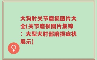 大狗肘关节磨损图片大全(关节磨损图片集锦：大型犬肘部磨损症状展示)