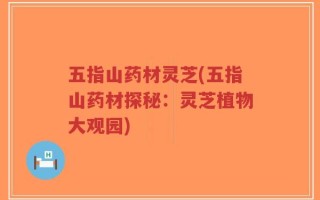 五指山药材灵芝(五指山药材探秘：灵芝植物大观园)