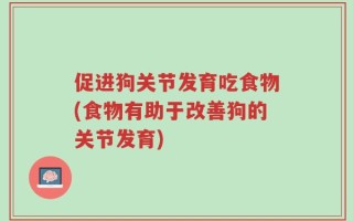 促进狗关节发育吃食物(食物有助于改善狗的关节发育)