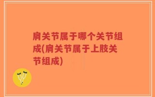 肩关节属于哪个关节组成(肩关节属于上肢关节组成)