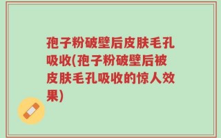 孢子粉破壁后皮肤毛孔吸收(孢子粉破壁后被皮肤毛孔吸收的惊人效果)