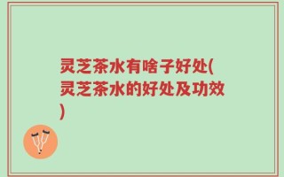 灵芝茶水有啥子好处(灵芝茶水的好处及功效)