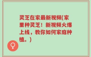 灵芝在家最新视频(家里种灵芝！新视频火爆上线，教你如何家庭种植。)