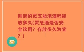刚摘的灵芝能泡酒吗能放多久(灵芝酒是否安全饮用？存放多久为宜？)