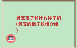 灵芝孢子长什么样子的(灵芝的孢子长相介绍)