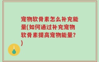 宠物软骨素怎么补充能量(如何通过补充宠物软骨素提高宠物能量？)