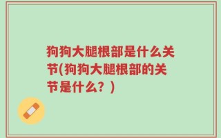 狗狗大腿根部是什么关节(狗狗大腿根部的关节是什么？)
