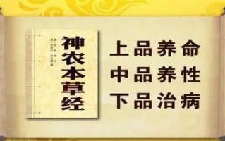 灵芝破壁孢子粉对胃有哪些好处？