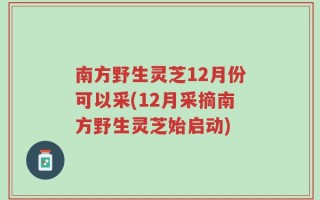 南方野生灵芝12月份可以采(12月采摘南方野生灵芝始启动)