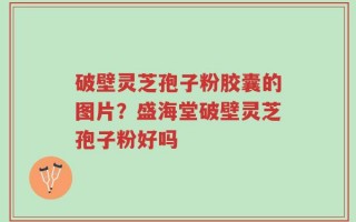 破壁灵芝孢子粉胶囊的图片？盛海堂破壁灵芝孢子粉好吗