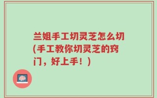 兰姐手工切灵芝怎么切(手工教你切灵芝的窍门，好上手！)