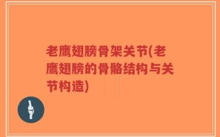老鹰翅膀骨架关节(老鹰翅膀的骨骼结构与关节构造)