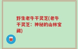 野生老牛干灵芝(老牛干灵芝：神秘的山林宝藏)