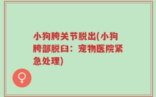 小狗胯关节脱出(小狗胯部脱臼：宠物医院紧急处理)