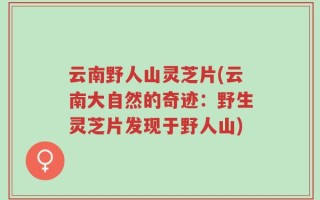 云南野人山灵芝片(云南大自然的奇迹：野生灵芝片发现于野人山)