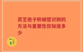 灵芝孢子粉破壁识别的方法与重要性你知道多少