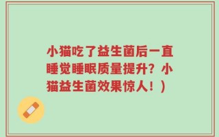 小猫吃了益生菌后一直睡觉睡眠质量提升？小猫益生菌效果惊人！)