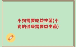 小狗需要吃益生菌(小狗的健康需要益生菌)