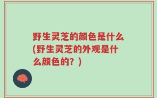 野生灵芝的颜色是什么(野生灵芝的外观是什么颜色的？)