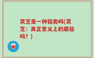 灵芝是一种菇类吗(灵芝：真正意义上的蘑菇吗？)