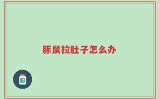 豚鼠拉肚子怎么办