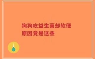 狗狗吃益生菌却软便 原因竟是这些