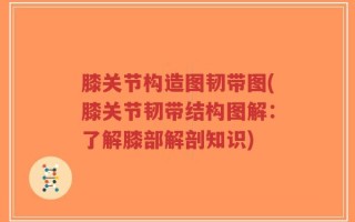 膝关节构造图韧带图(膝关节韧带结构图解：了解膝部解剖知识)