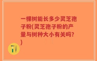 一棵树能长多少灵芝孢子粉(灵芝孢子粉的产量与树种大小有关吗？)