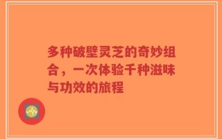 多种破壁灵芝的奇妙组合，一次体验千种滋味与功效的旅程
