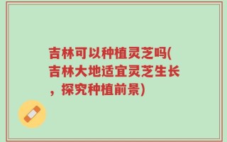 吉林可以种植灵芝吗(吉林大地适宜灵芝生长，探究种植前景)